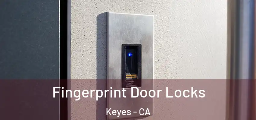  Fingerprint Door Locks Keyes - CA