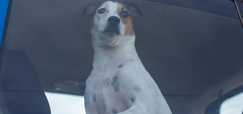 Car Lockout Solutions in Keyes, California